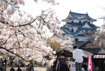 彦根城桜まつり・ご城下にぎわい市