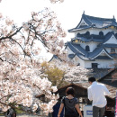 彦根城桜まつり・ご城下にぎわい市