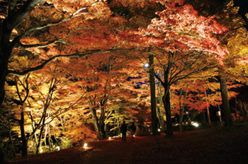 山中湖「夕焼けの渚・紅葉まつり」