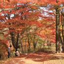 富士・山中湖ぐるりんウオーク